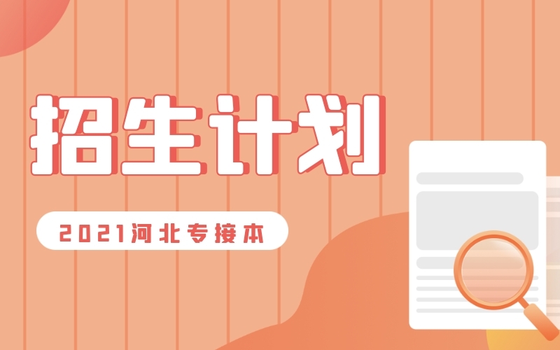 2021年河北专接本舞蹈编导/舞蹈表演/舞蹈 学/艺术教育（舞蹈）专业招生计划.jpg