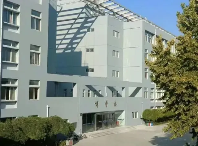 1749175977212.jpg